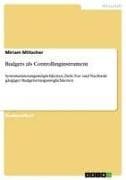 Budgets als Controllinginstrument