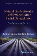 Natural Gas Networks Performance After Partial Deregulation: Five Quantitative Studies