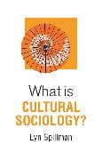 What is Cultural Sociology?