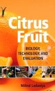 Citrus Fruit