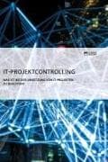 IT-Projektcontrolling. Was ist bei der Umsetzung von IT-Projekten zu beachten?