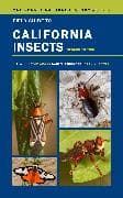 Field Guide to California Insects