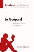 Le Guépard de Giuseppe Tomasi di Lampedusa (Analyse de l'oeuvre)