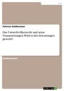 Das Umweltvölkerrecht und seine Voraussetzungen. Wird es den Erwartungen gerecht?