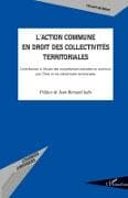 L'action commune en droit des collectivités territoriales