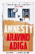 Amnesty