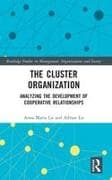 The Cluster Organization