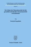 Der Schutz der Menschenrechte bei der grenzüberschreitenden Zusammenarbeit in Strafsachen