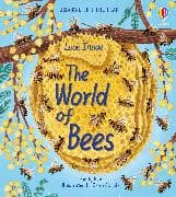 Look Inside the World of Bees