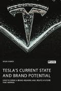 Tesla's current state and brand potential. How to derive a brand meaning and create a future that inspires