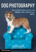 Dog Photography
