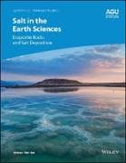 Salt in the Earth Sciences