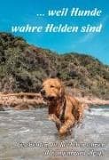 weil Hunde wahre Helden sind