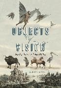 Objects of Vision