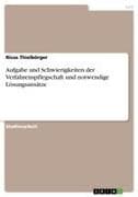 Aufgabe und Schwierigkeiten der Verfahrenspflegschaft und notwendige Lösungsansätze