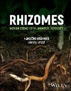 Rhizomes