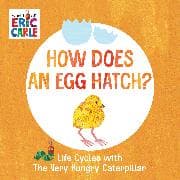 How Does an Egg Hatch?