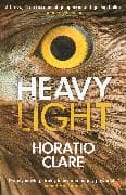 Heavy Light