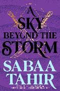 A Sky Beyond the Storm