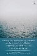 Liability for Transboundary Pollution at the Intersection of Public and Private International Law