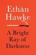 A Bright Ray of Darkness