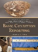 Basic Condition Reporting