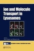 Ion and Molecule Transport in Lysosomes