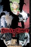 Black Clover, Vol. 29: Volume 29