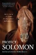 Project Solomon