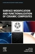 Surface Modification and Functionalization of Ceramic Composites