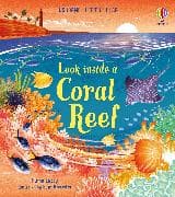 Look inside a Coral Reef