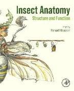 Insect Anatomy