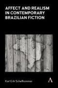 Affect and Realism in Contemporary Brazilian Fiction