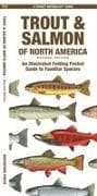 Trout & Salmon of North America, 2nd Ed