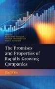 The Promises and Properties of Rapidly Growing Companies