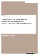 Arbeitsrechtliche Grundlagen des Homeoffice unter besonderer Berücksichtigung der Corona Pandemie
