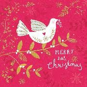 Doppelkarte. Holly Jolly - Christmas Birds On Branch