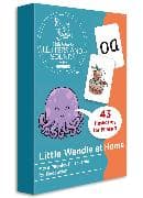 Little Wandle at Home More Phonics Flashcards for Reception