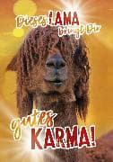 Soundkarte A4 Lama