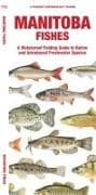 Manitoba Fishes