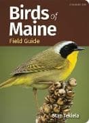 Birds of Maine Field Guide