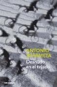Desnudo en el tejado