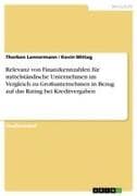 Relevanz von Finanzkennzahlen für mittelständische Unternehmen im Vergleich zu Großunternehmen in Bezug auf das Rating bei Kreditvergaben