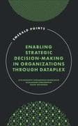 Enabling Strategic Decision-Making in Organizations Through Dataplex