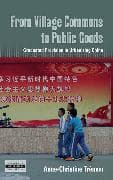 From Village Commons to Public Goods