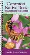 Common Native Bees of the Western United States