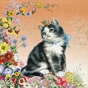 Postkarte. Auguri. Katze