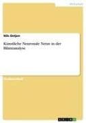 Künstliche Neuronale Netze in der Bilanzanalyse