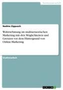 Wahrnehmung im multisensorischen Marketing mit den Möglichkeiten und Grenzen vor dem Hintergrund von Online-Marketing