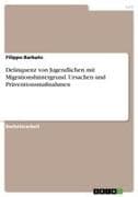 Delinquenz von Jugendlichen mit Migrationshintergrund. Ursachen und Präventionsmaßnahmen